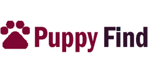 Online Dog Selling & Accessories